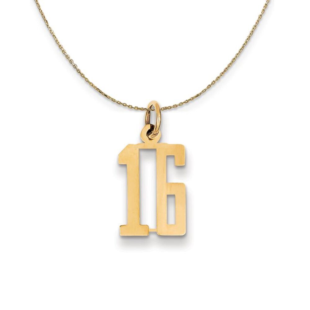 14k Yellow Gold, Alumni Small Elongated Number 16 Necklace - 24 Inch